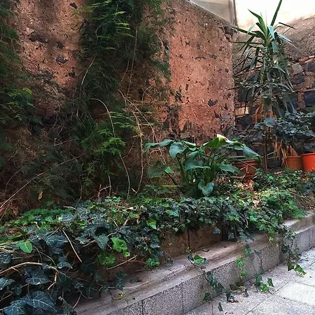 Loft Centro Ingresso Indipendente Giardino Privato * 카타니아